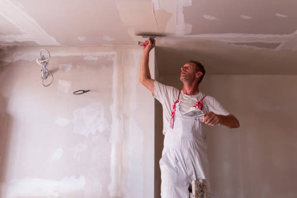 Best Ceiling Drywall Installation  in Larkspur, CA